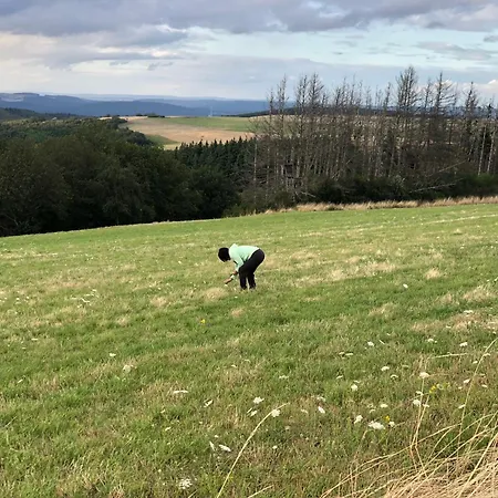 Apartmán Pellinger-hof