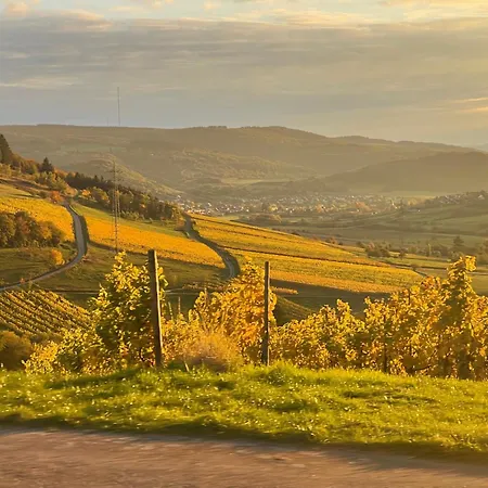 Pellinger-hof Apartmán Pellingen