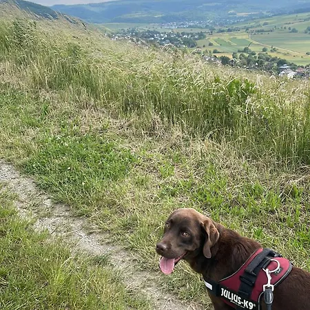 Pellinger-hof * Pellingen