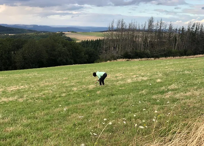 公寓 Pellinger-hof