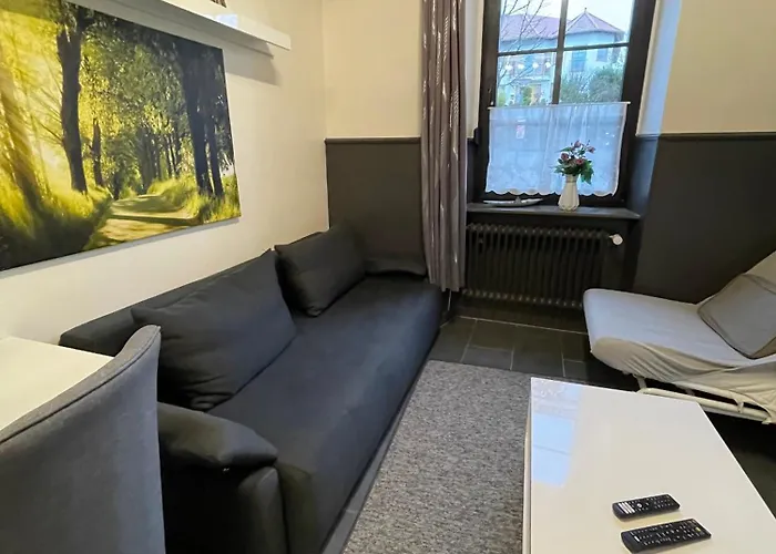 公寓 Pellinger-hof Pellingen