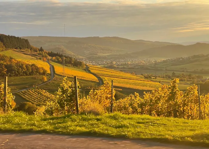 Pellinger-hof * Pellingen