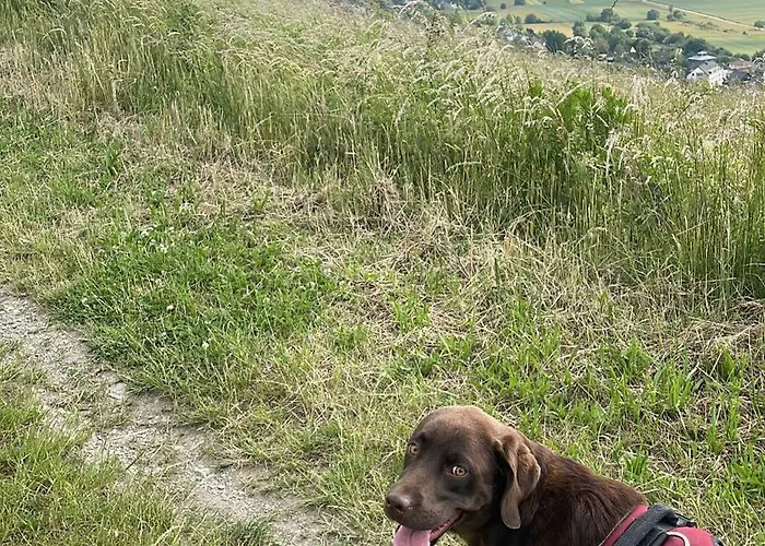 Pellinger-hof * Pellingen